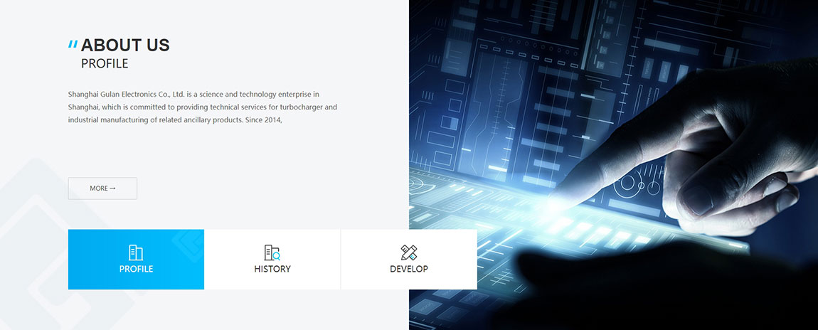 上海谷然外貿網(wǎng)站設計效果圖